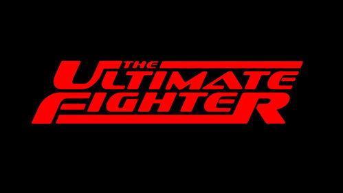 The Ultimate Fighter Season 20 Episode 12 - It's About to Get Real