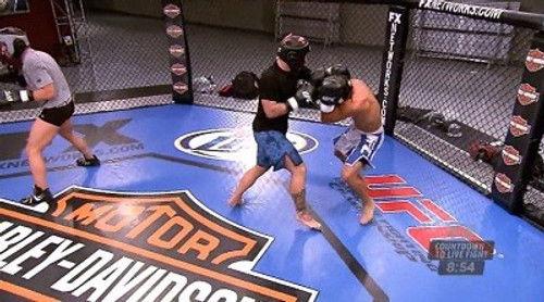 The Ultimate Fighter Season 15 Episode 11 - Like a Spartan