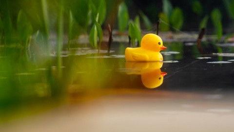 Wie is de Mol? Season 23 Episode 4 - Episode 4