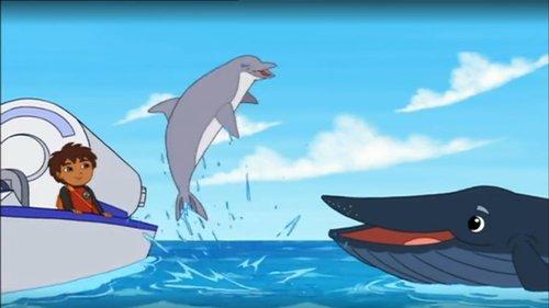Go, Diego, Go! Season 4 Episode 11 - Ocean Animal Rescuer