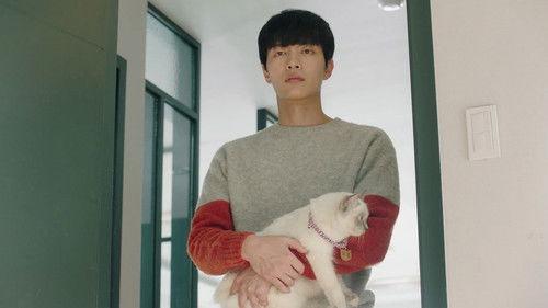 Because This Is My First Life Season 1 Episode 16 - Because This is My First Life