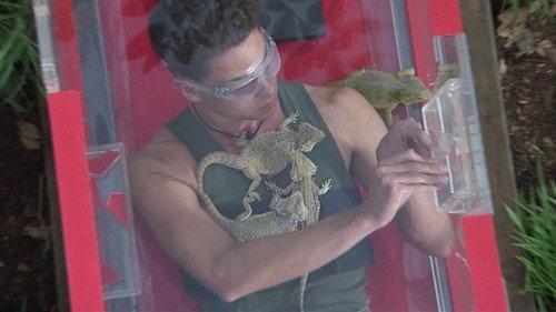 I'm a Celebrity...Get Me Out of Here! Season 13 Episode 1 - Turntable of Terror