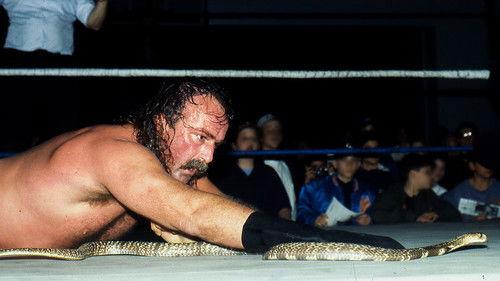 Dark Side of the Ring Season 3 Episode 6 - In The Shadow of Grizzly Smith