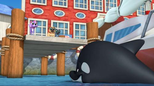 Puppy Dog Pals Season 1 Episode 48 - Fetch That Fish