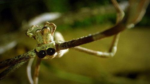 Planet Weird Season 1 Episode 3 - Villains