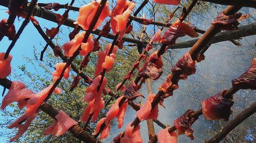 Alone Season 12 Episode 3 - Thirst Trap