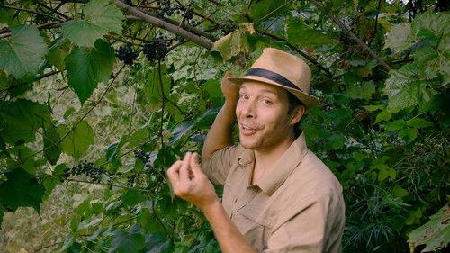 Field, Forest, Feast Season 1 Episode 3 - Fall Foraging