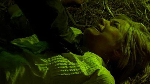 Wire in the Blood Season 6 Episode 6 - From the Defeated (2)