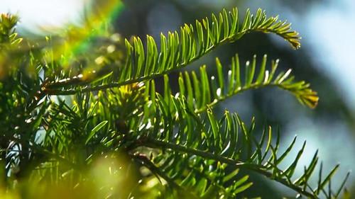 Countryfile Season 36 Episode 15 - Compilation (9th April 2023)