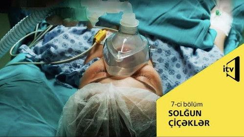 Faded Flowers Season 1 Episode 7 - Episode 7