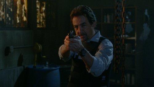 Criminal Minds Season 12 Episode 9 - Profiling 202