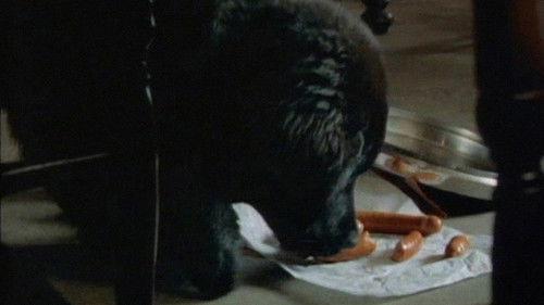 Unser Lehrer Doktor Specht Season 1 Episode 9 - Episode 9