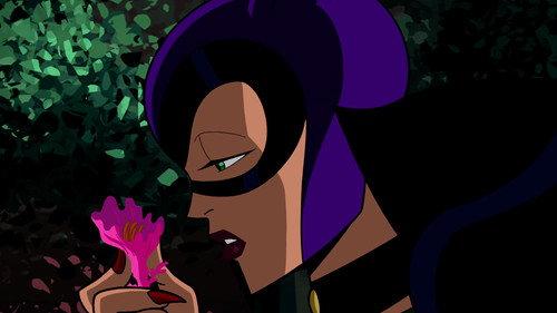 Batman: The Brave and the Bold Season 3 Episode 3 - Shadow of the Bat!