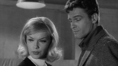 Honey West Season 1 Episode 16 - A Nice Little Till to Tap