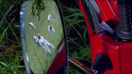 SOKO Stuttgart Season 3 Episode 11 - Knockout