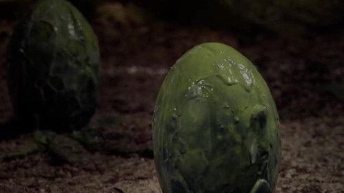 Background image for The Last Oak Tree in England