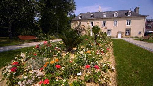 Le Doc du dimanche Season 11 Episode 15 - Episode 15