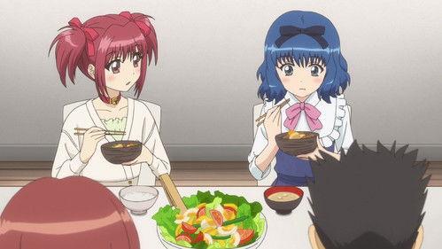 Tokyo Mew Mew New Season 1 Episode 14 - Mint, the Runaway?! I’m Going to Change the World!