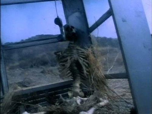 Dark Skies Season 1 Episode 7 - Ancient Future