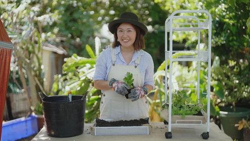 Gardening Australia Season 34 Episode 14 - Episode 14 Eucalypt; Herbs; Restore: Mosaic: Winter: Bee