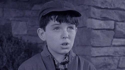 Leave It to Beaver Season 3 Episode 20 - Beaver and Andy