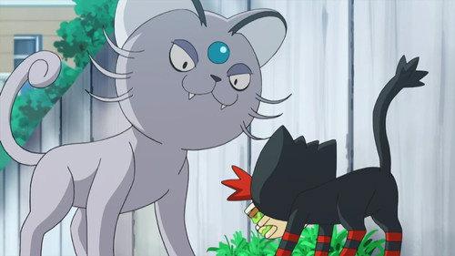 Pokémon Season 20 Episode 7 - That's Why the Litten is a Scamp!