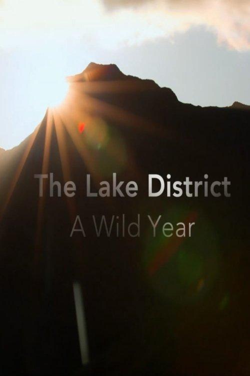A Wild Year poster