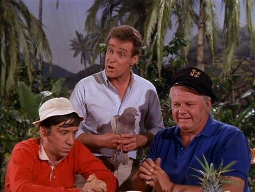 Gilligan's Island Season 3 Episode 28 - The Pigeon