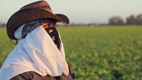 Frontline Season 31 Episode 11 - Rape in the Fields