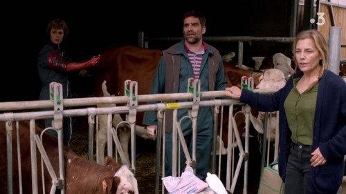 Cassandre Season 4 Episode 2 - Episode 2