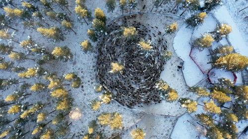 What on Earth? Season 7 Episode 3 - Chernobyl's Nuclear Monsters