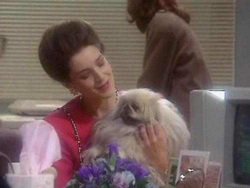 Drop the Dead Donkey Season 2 Episode 3 - Henry and Dido