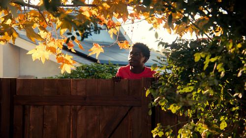 Life by Ella Season 1 Episode 3 - Scars