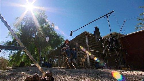 Pit Bulls and Parolees Season 2 Episode 11 - Life in the Spotlight