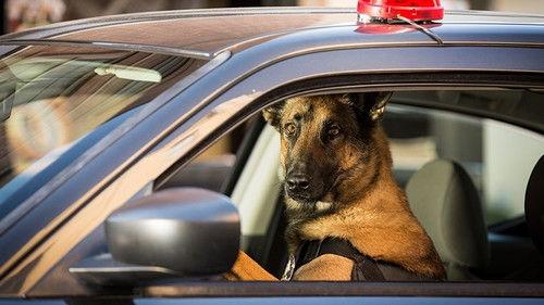 Angie Tribeca Season 2 Episode 9 - Contains Graphic Designer Violence