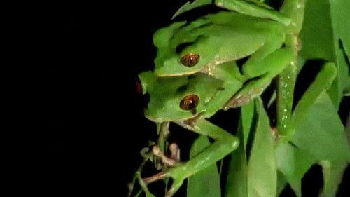 Trials of Life Season 1 Episode 1 - Arriving