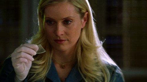 CSI: Miami Season 2 Episode 12 - Witness To Murder