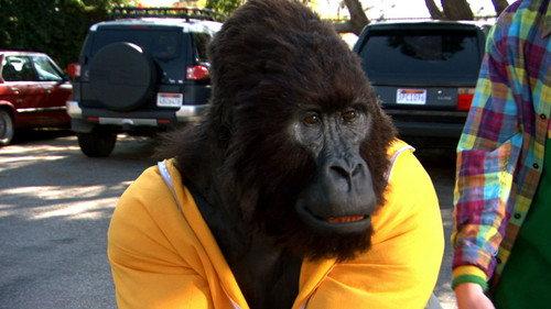 Zeke and Luther Season 1 Episode 20 - A Very Hairy Problem