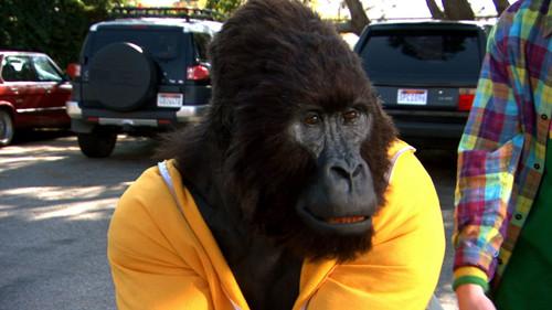 Zeke and Luther Season 1 Episode 20 - A Very Hairy Problem