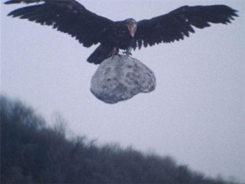 Special Rescue Police Winspector Season 1 Episode 5 - Attack! The Giant Bird