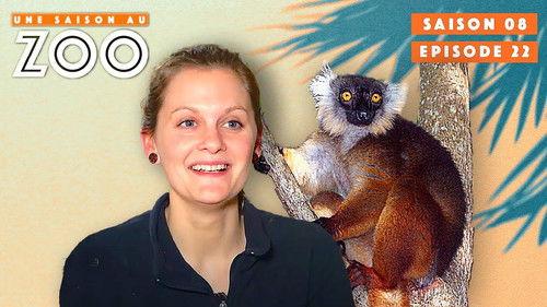 Une saison au zoo Season 8 Episode 22 - Episode 22