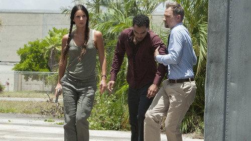 Burn Notice Season 7 Episode 9 - Bitter Pill