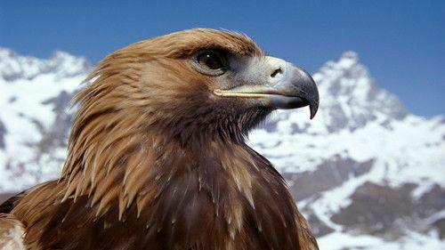 Harry Hill's TV Burp Season 1 Episode 6 - Series 1: Episode 6