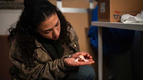 We Come in Peace Season 1 Episode 3 - The egg