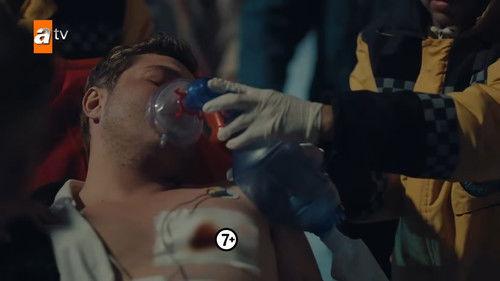 Street Birds Season 2 Episode 15 - Episode 36