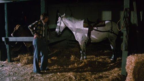 The Waltons Season 3 Episode 3 - The Thoroughbred