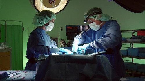 Childrens Hospital Season 1 Episode 10 - Episode 10
