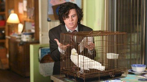 undefined Season 7 Episode 12 - Birds of a Feather