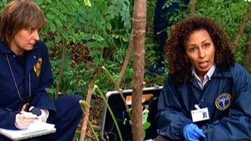 undefined Season 9 Episode 12 - Signature