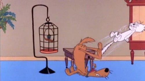 The Atom Ant Show Season 1 Episode 47 - The Bird Watcher